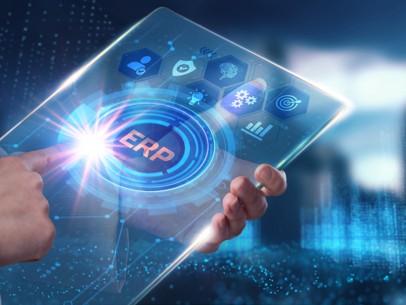 Securing Your ERP System