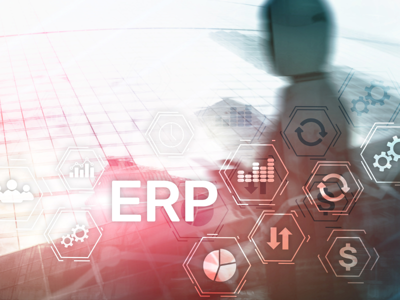 ERP Application Security Testing